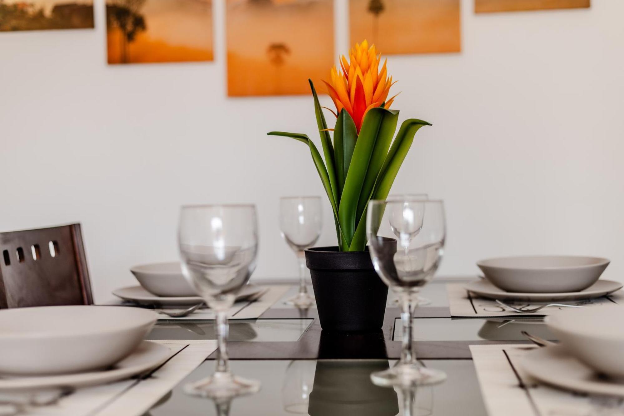 Mambo Palm-Mar Apartment Eksteriør bilde
